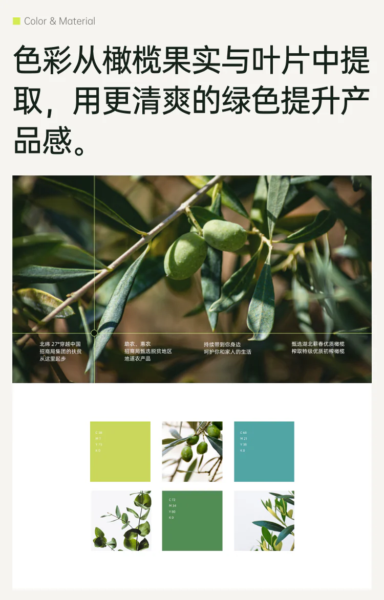 橄榄油瓶贴手机端项目详情 6